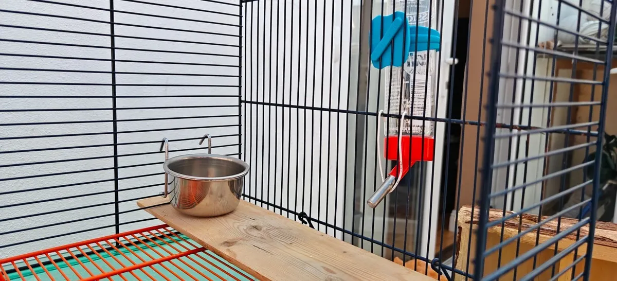 Gerbil/Hamster cage - Image 4