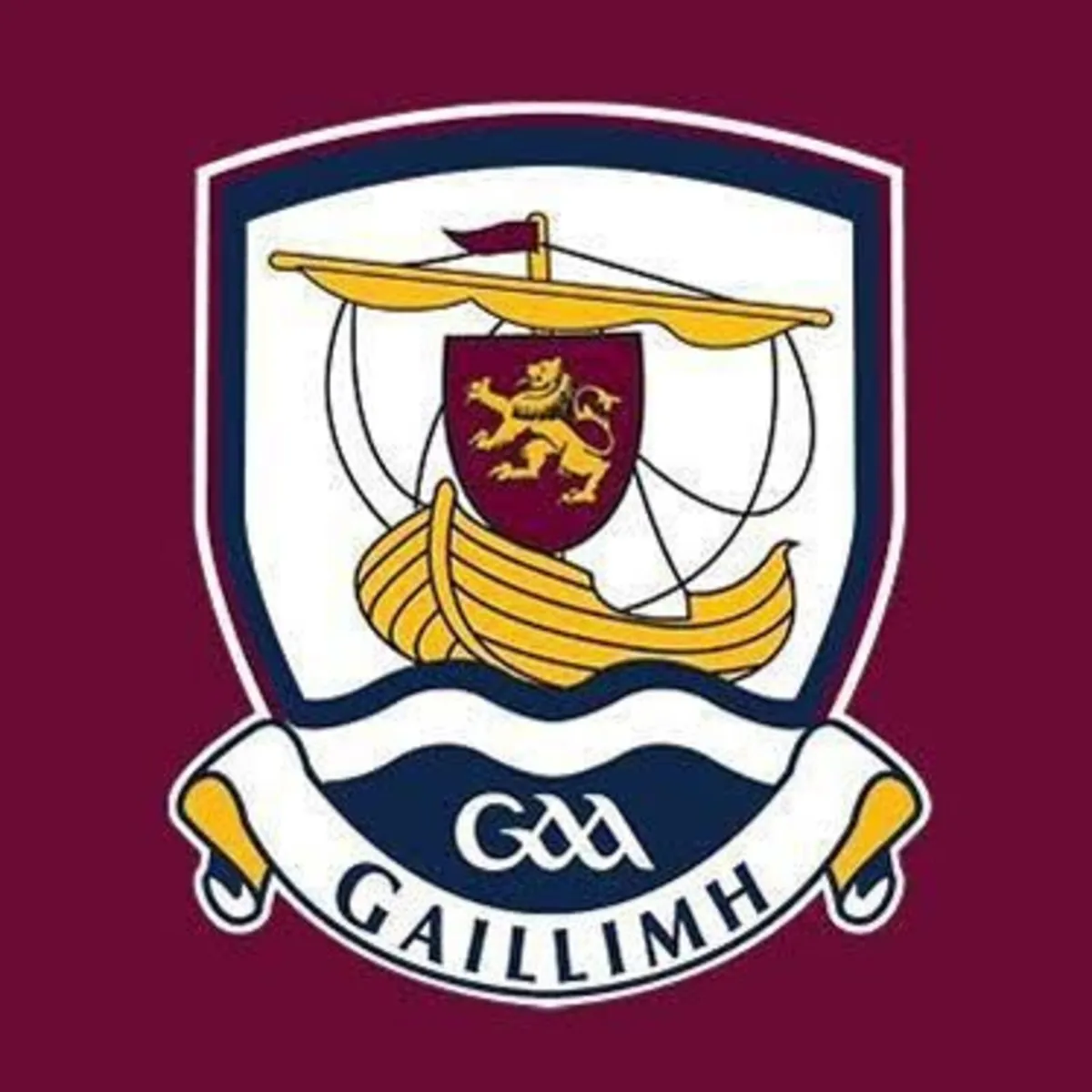 WANTED X2 All Ireland Hurling Final Tickets!