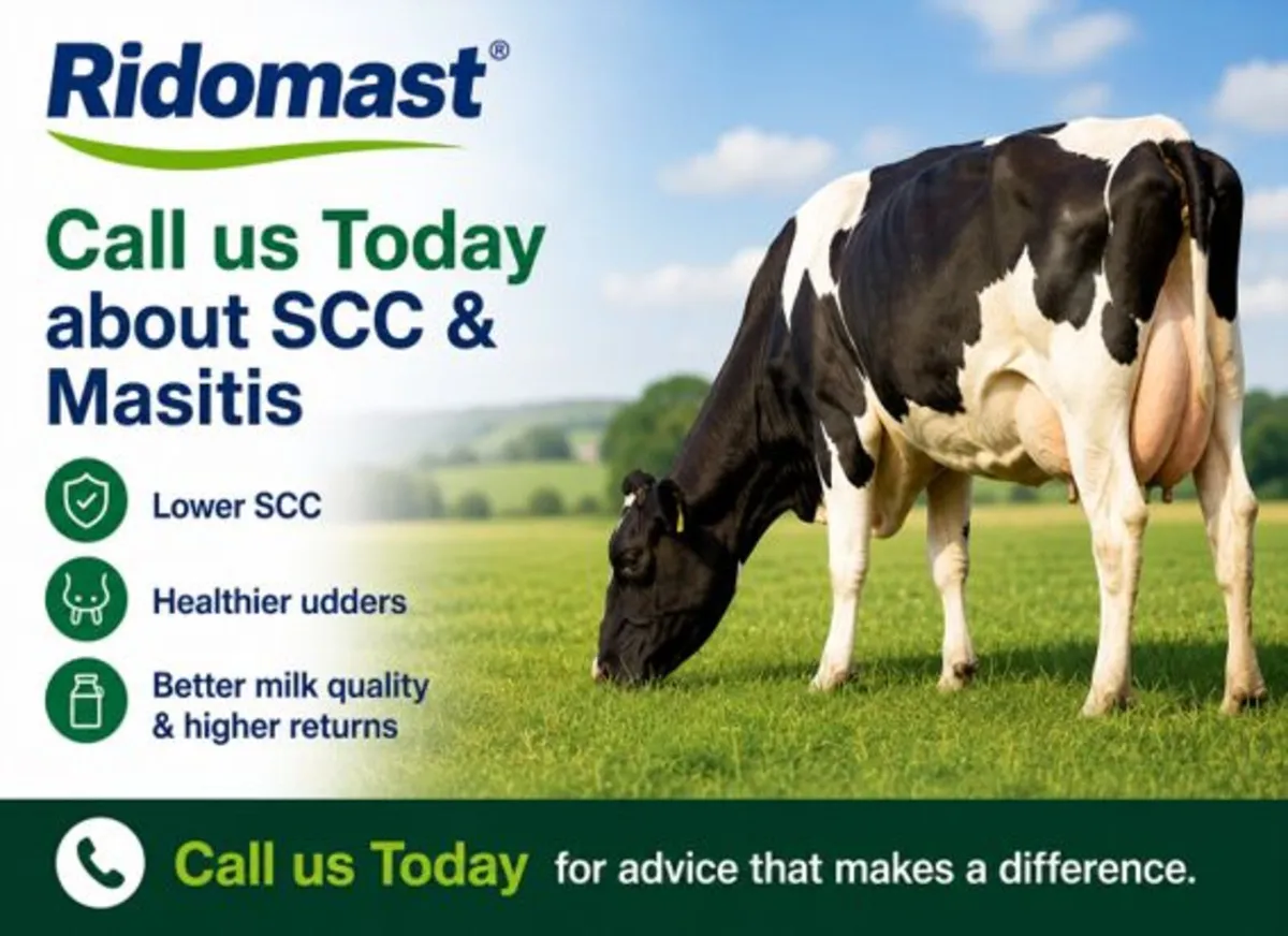 Herd SCC & Mastitis Program - Image 1