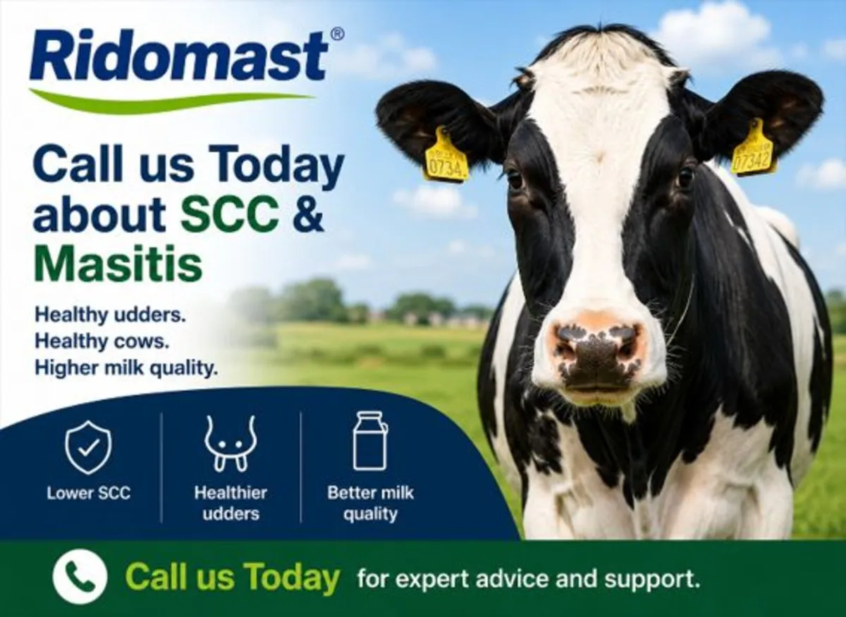 Mastitis & SCC Herd Program - Image 3