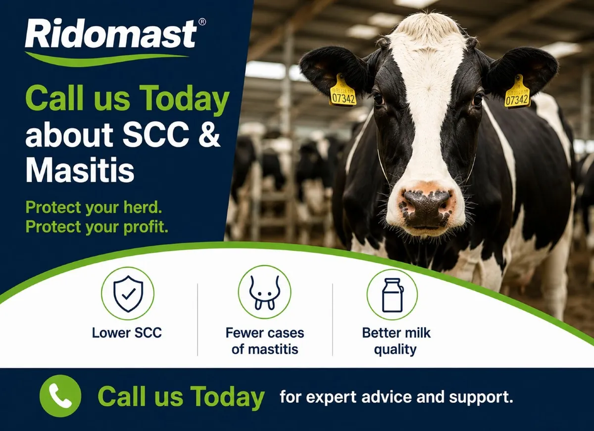 Mastitis & SCC Herd Program - Image 1