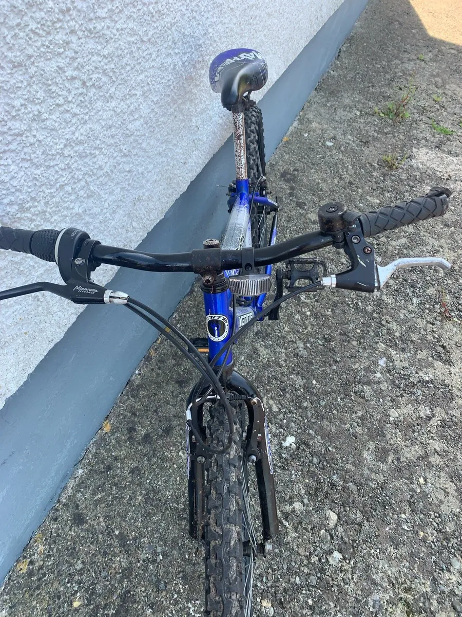 Junior’s Bicycle - Image 4
