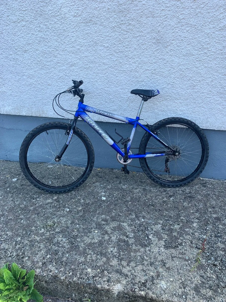 Junior’s Bicycle - Image 1