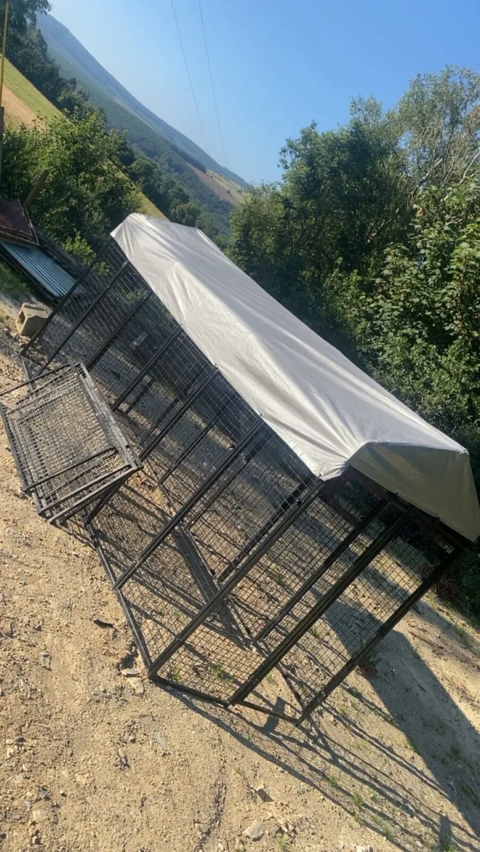 Metal animal enclosure