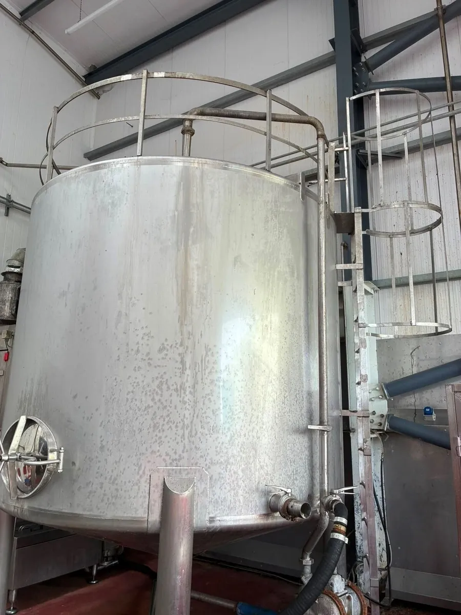 Stainless steel tank with paddle mixer - Image 2