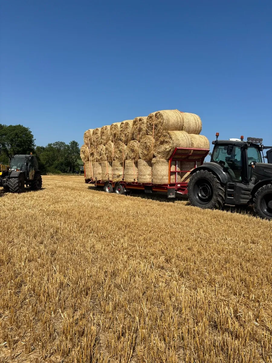 2026 straw and Hay delivered - Image 1