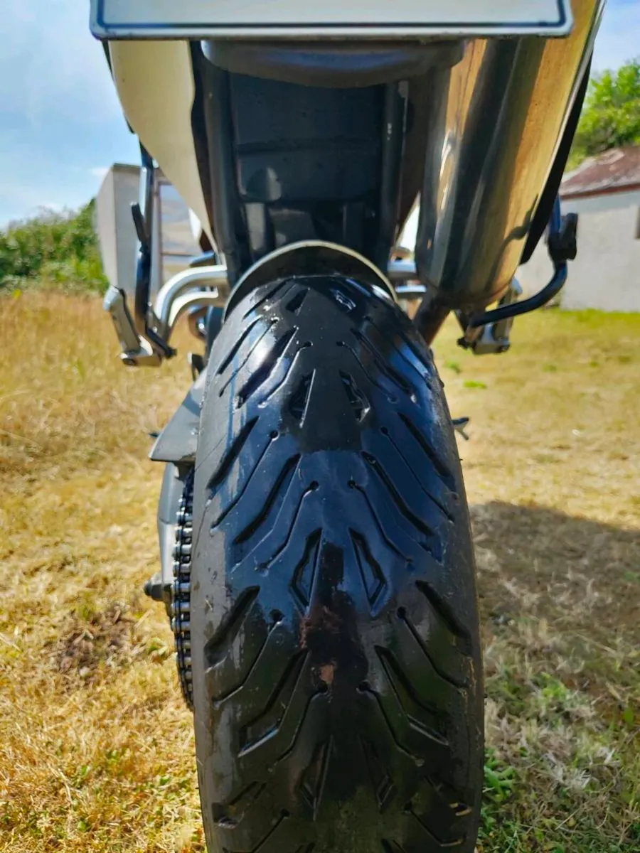 Triumph Tiger 1050 - Image 2