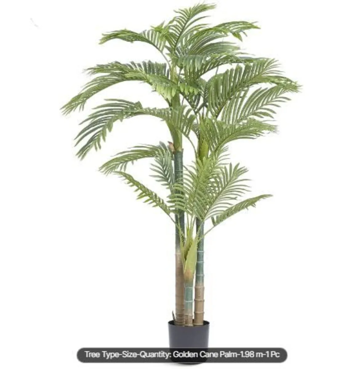 Artificial Gold Cane Palm Tree, 2m Tall - Image 1