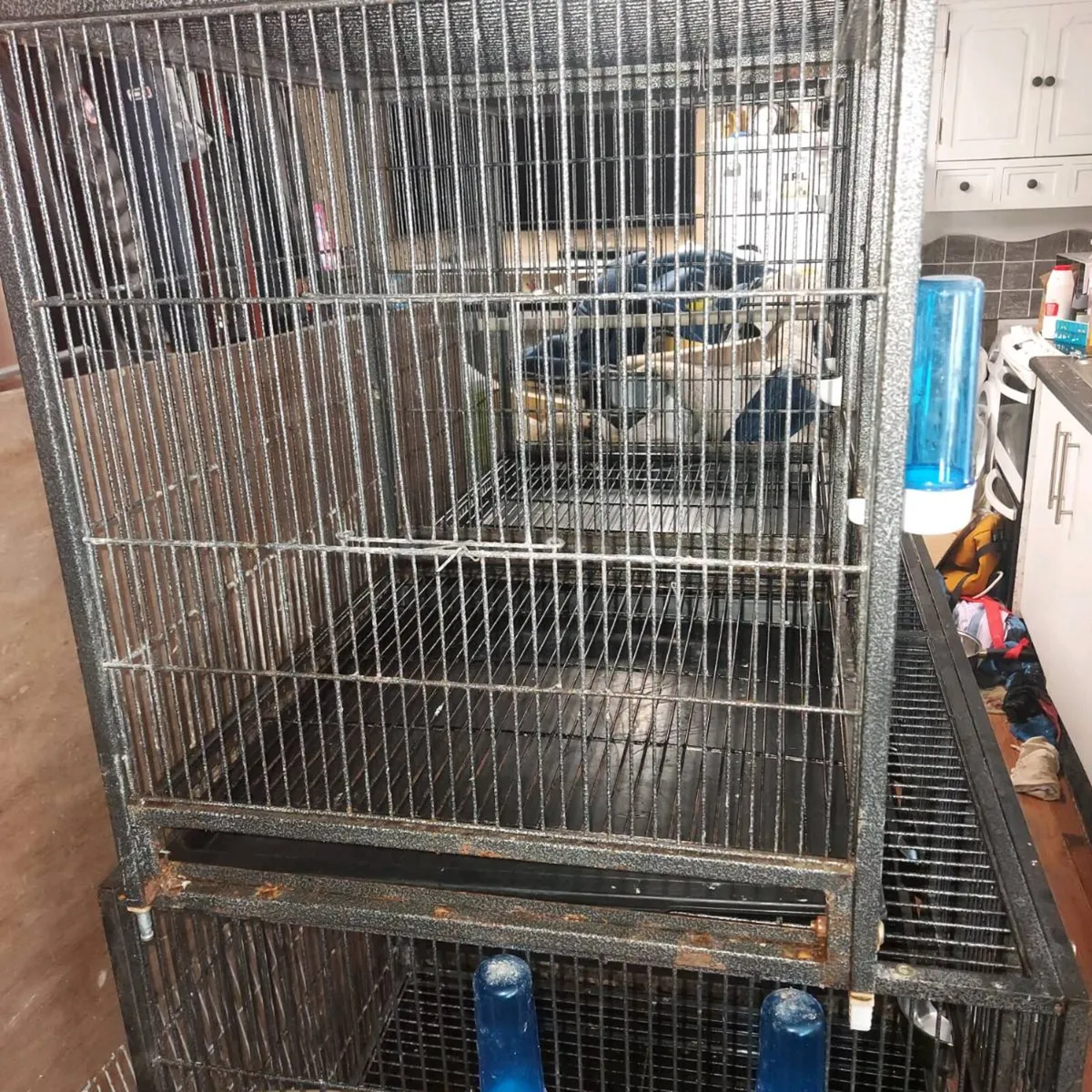 Cages - Image 2