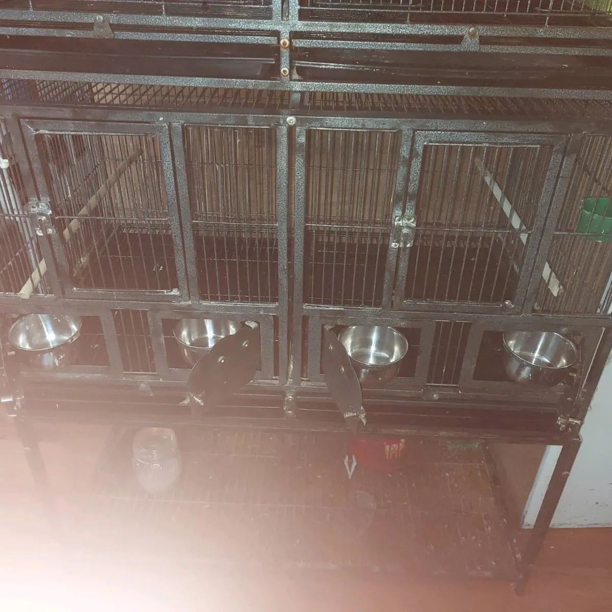 Cages - Image 3