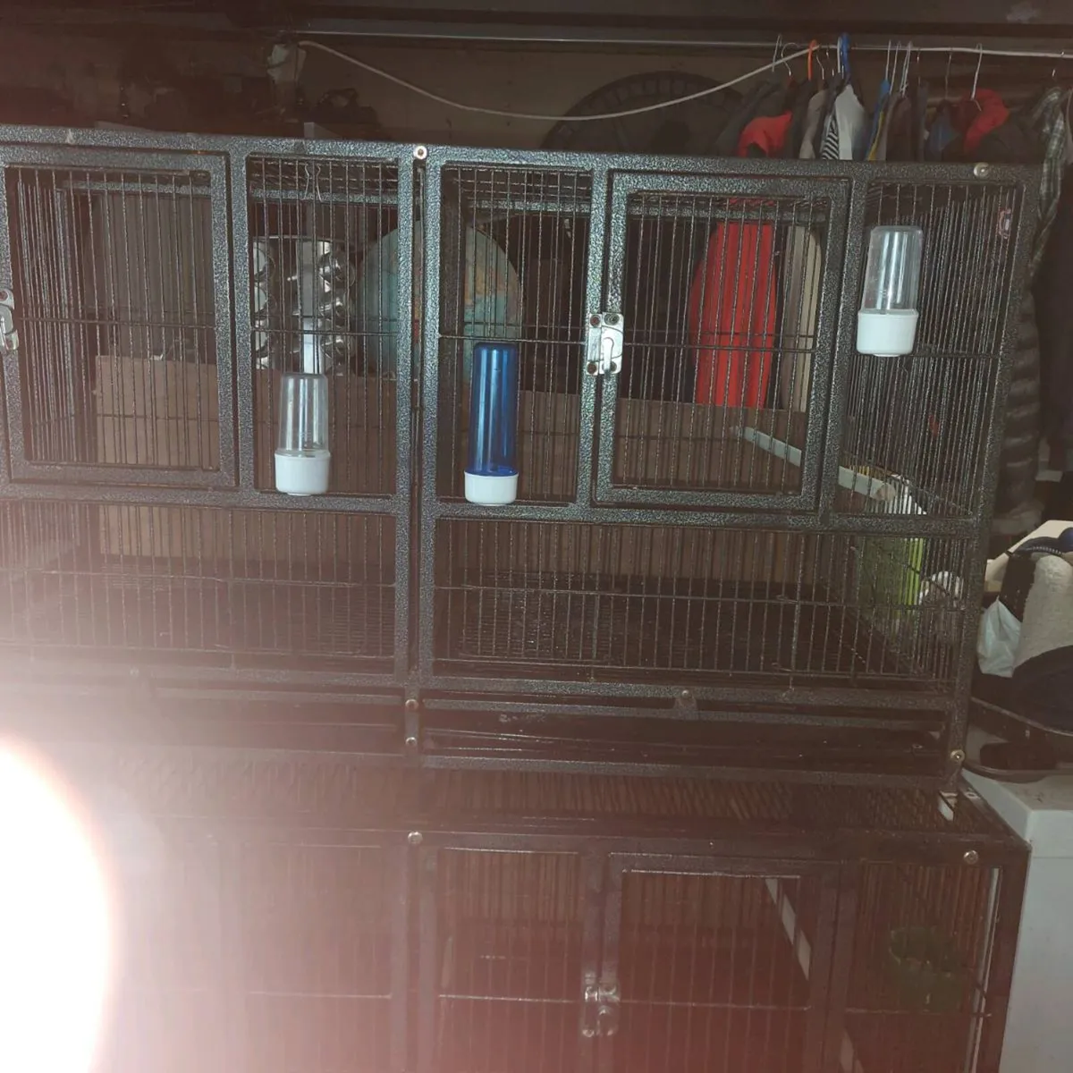 Cages - Image 4