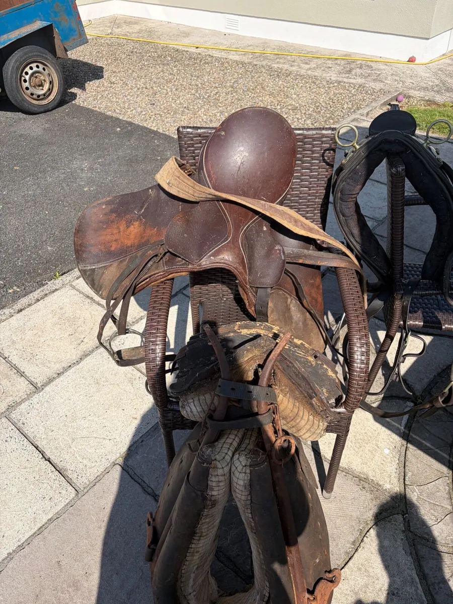 Collar , straddle and saddle for sale - Image 1