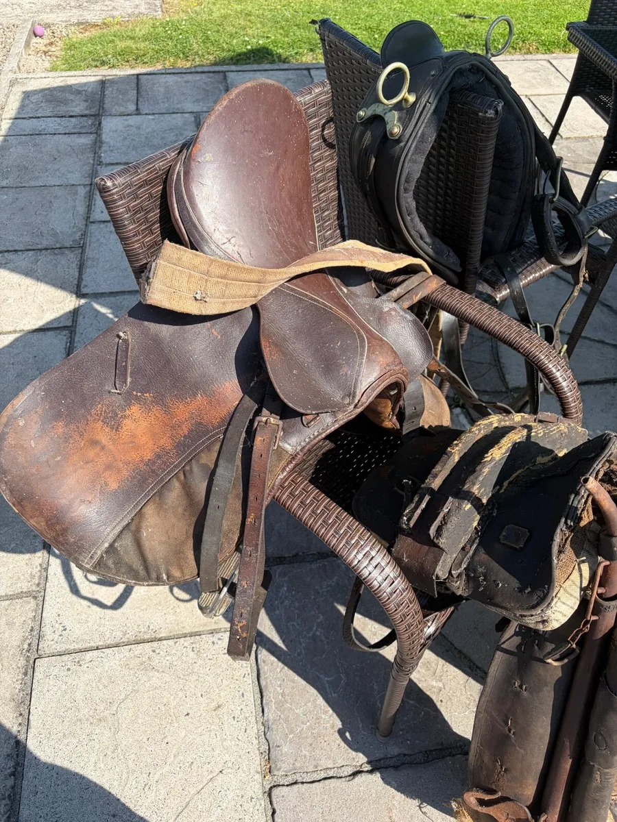 Collar , straddle and saddle for sale - Image 2