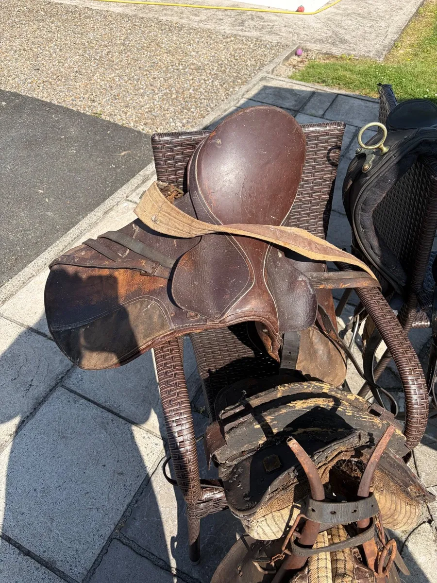 Collar , straddle and saddle for sale - Image 3