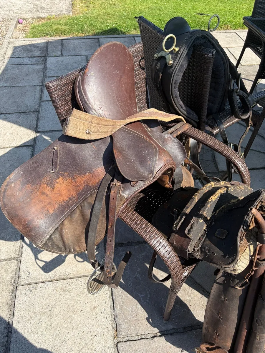 Collar , straddle and saddle for sale - Image 4
