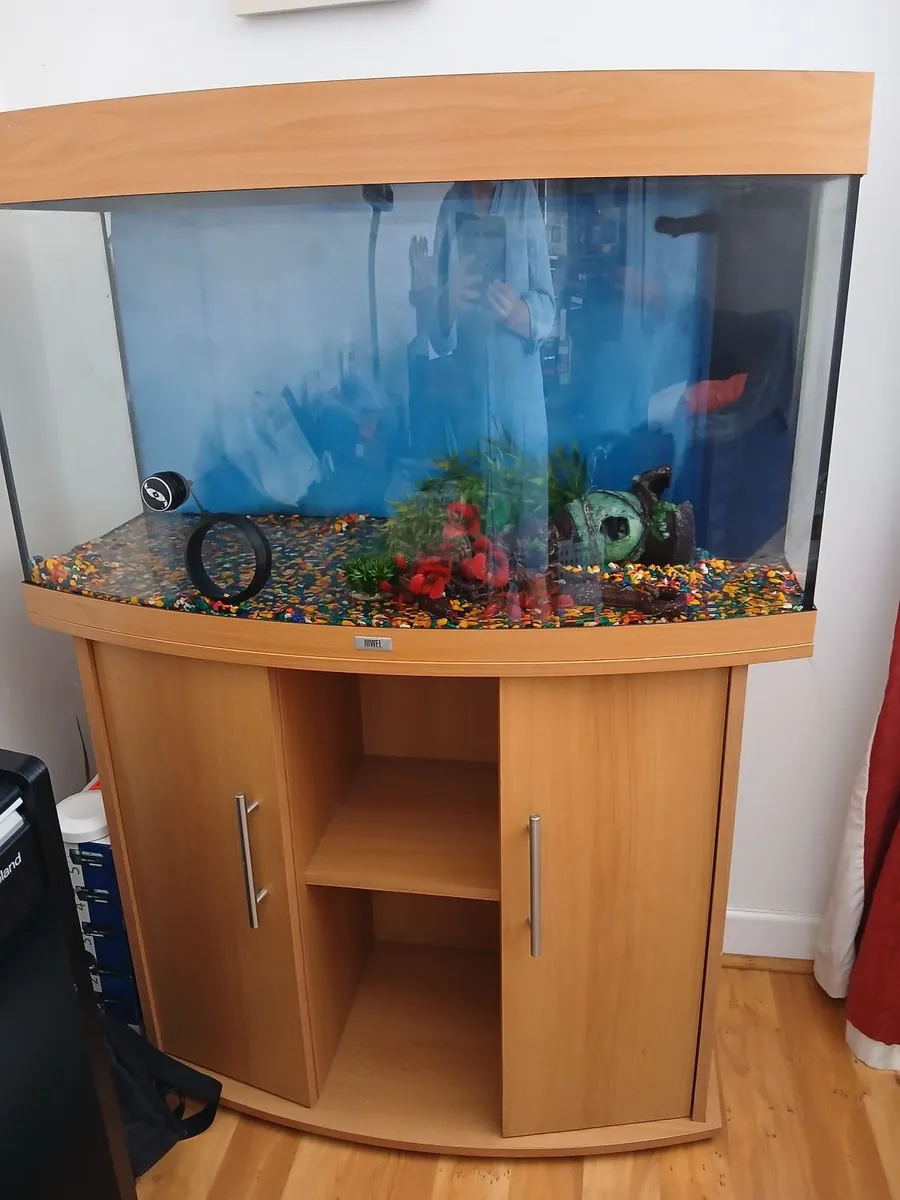 Fish aquarium, cabinet & additional aquarium items - Image 1