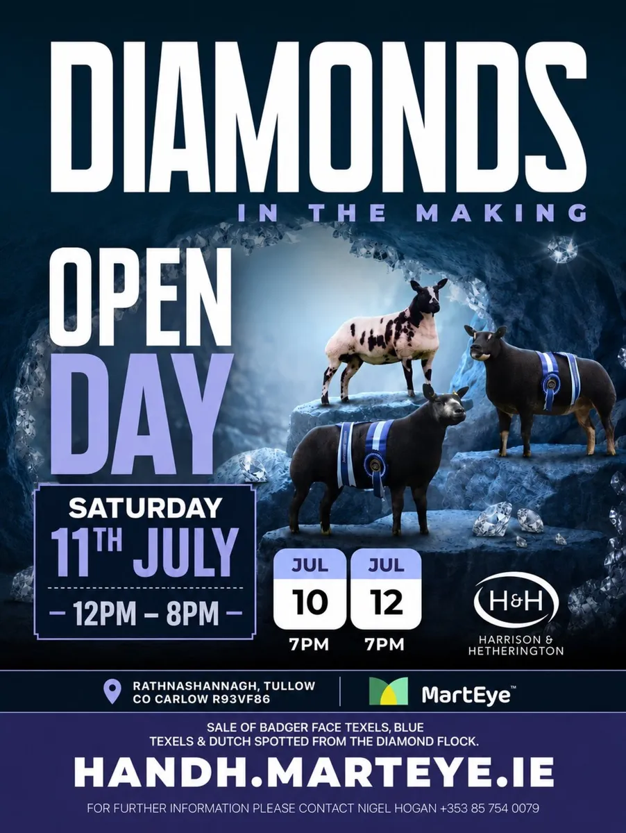 Timed Auction - Open Day - Image 1