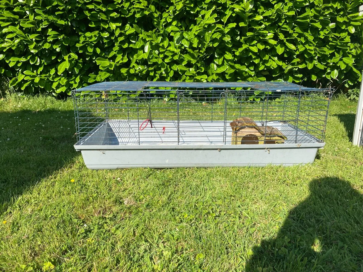Guinea Pig Houses Indoor and Outdoor - Image 2