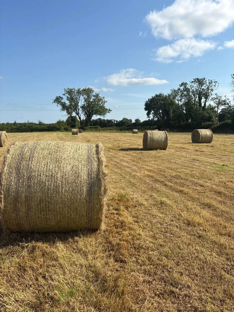 Round Hay