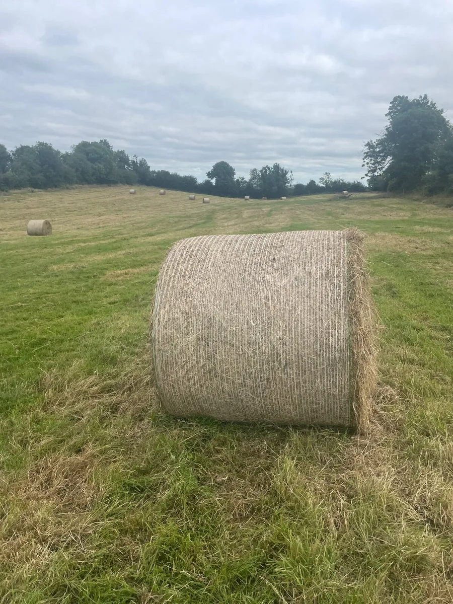 Round bales of Hay - Image 2