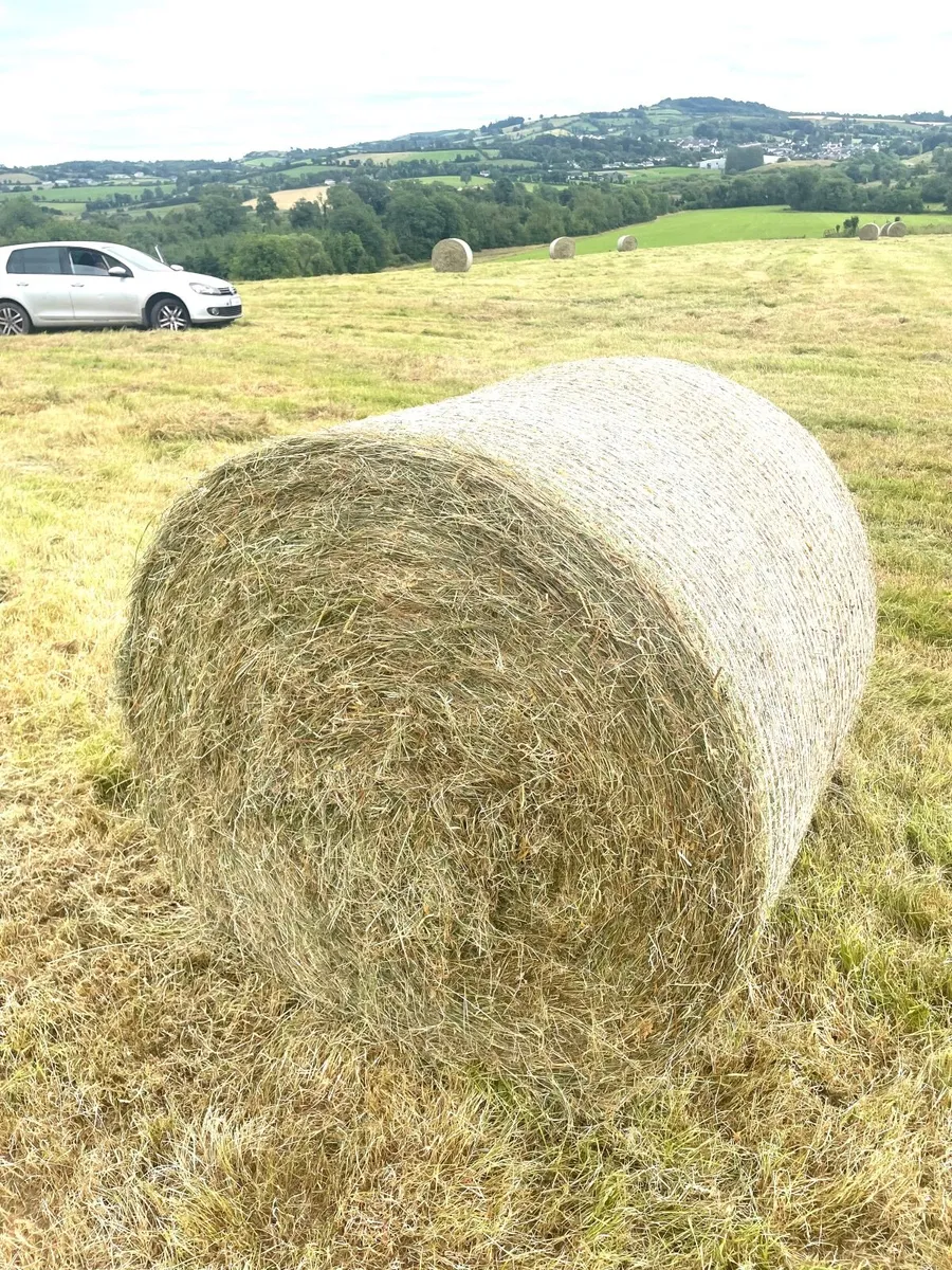Round bales of Hay - Image 3