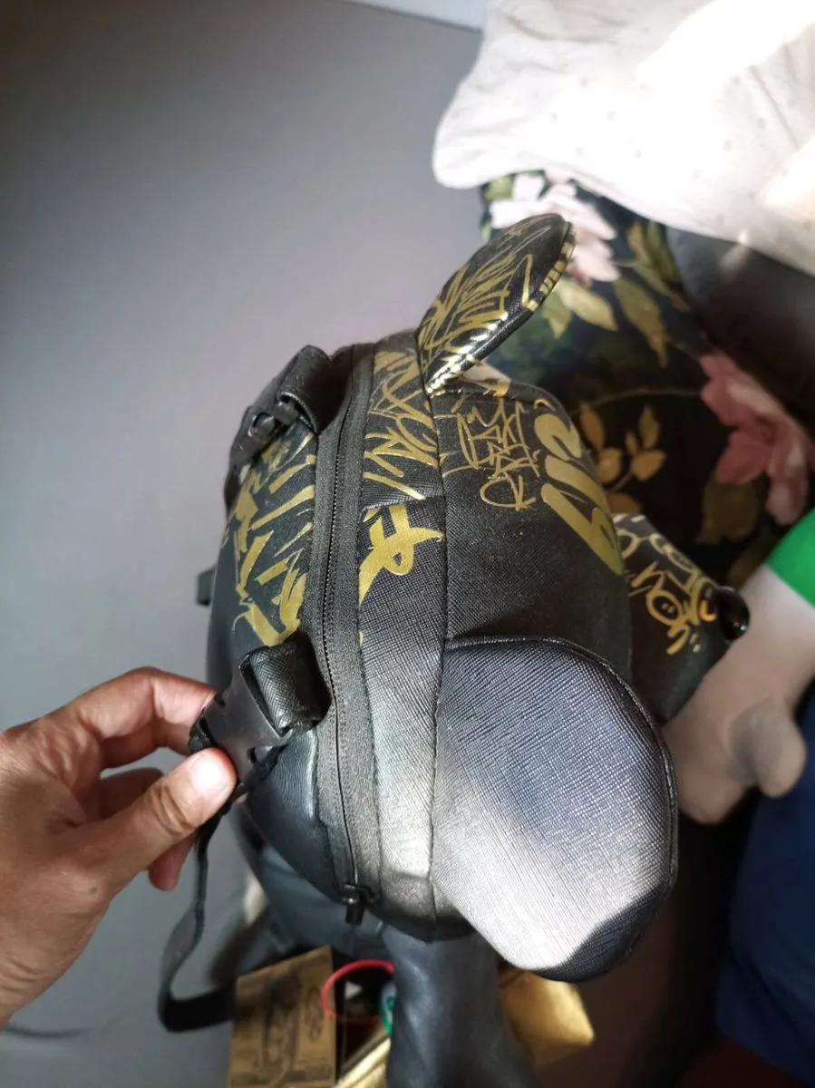 "MONEYBEAR" TEDDY BEAR BACKPACK - Image 4