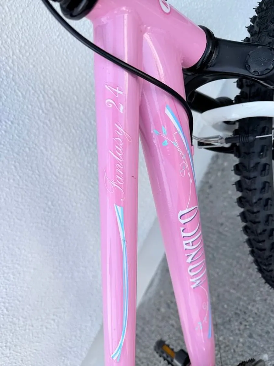 Monaco Bike 24 inch - Image 4