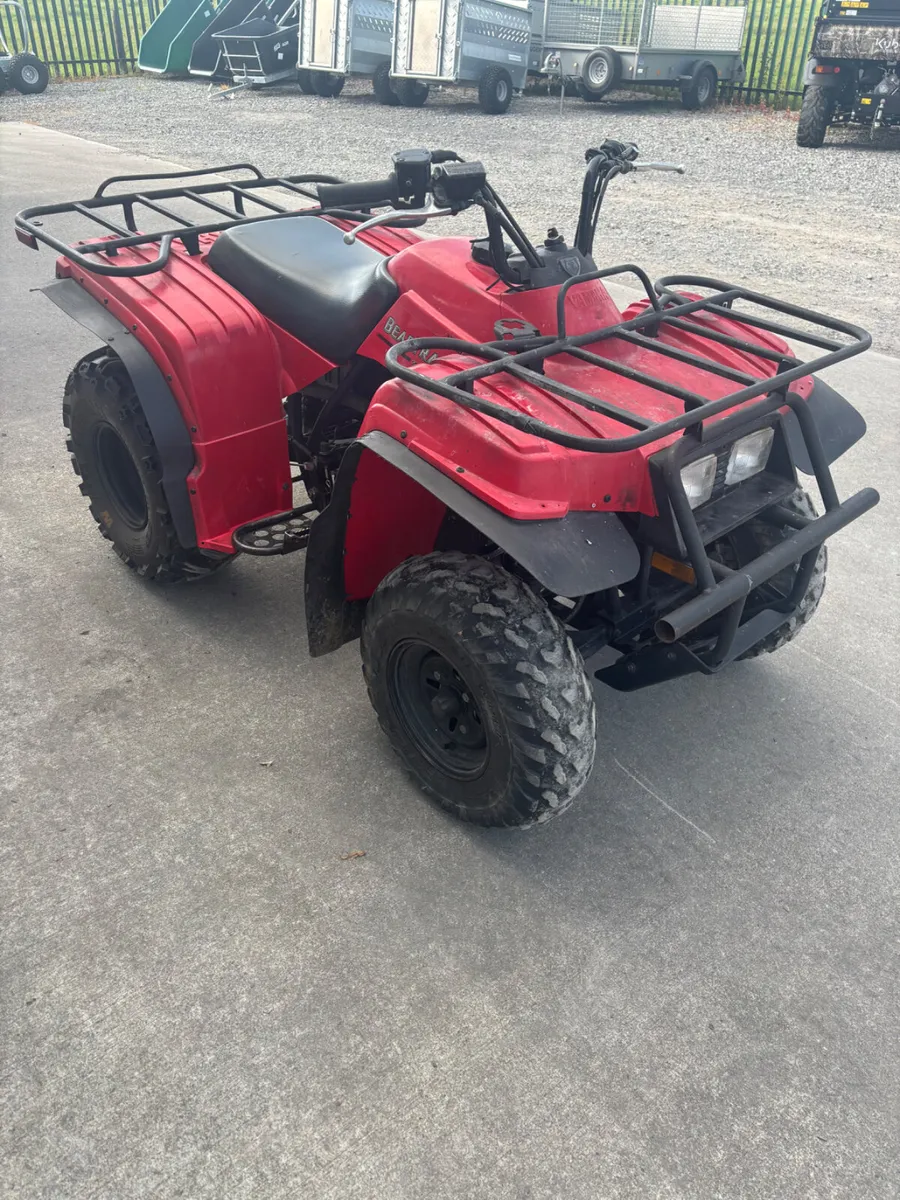Yamaha Beartracker  250 Quad - Image 3