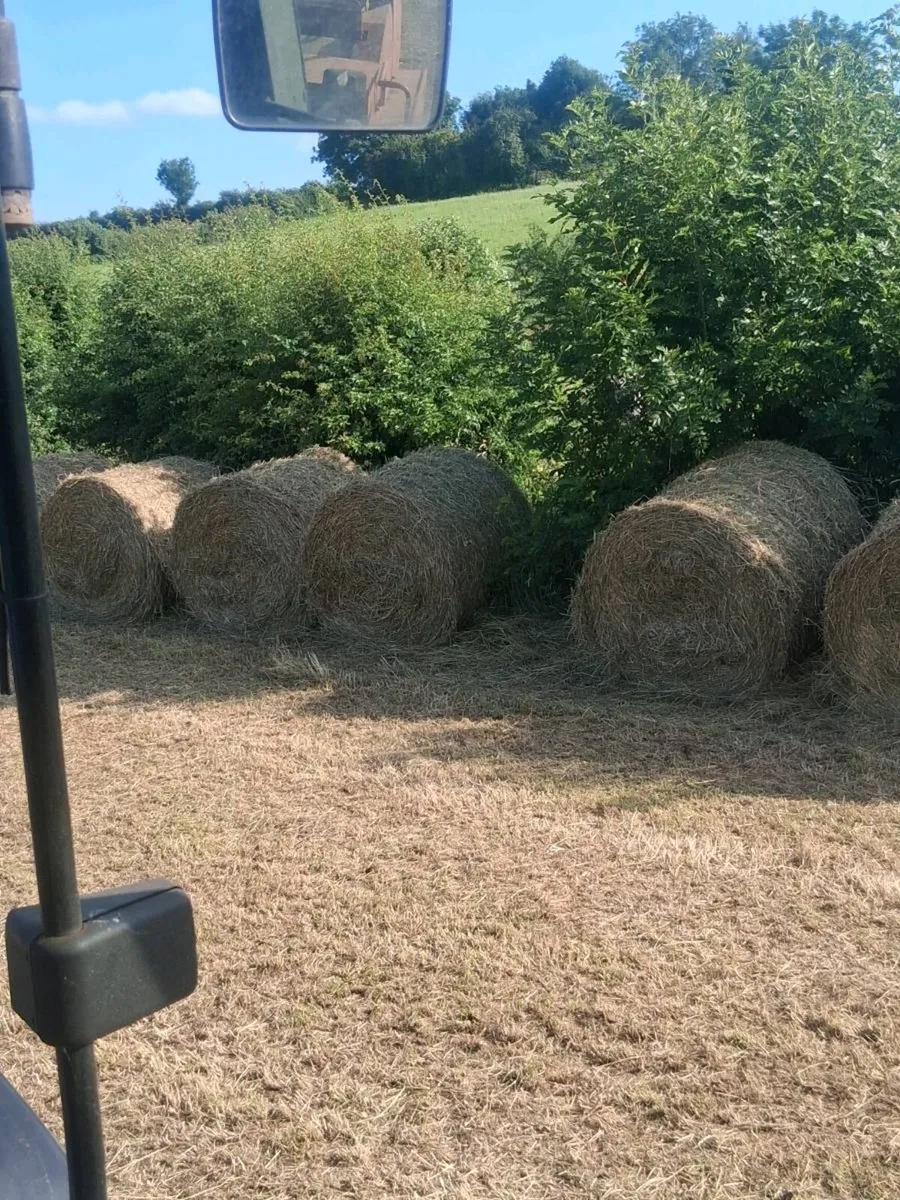 Round bales of hay