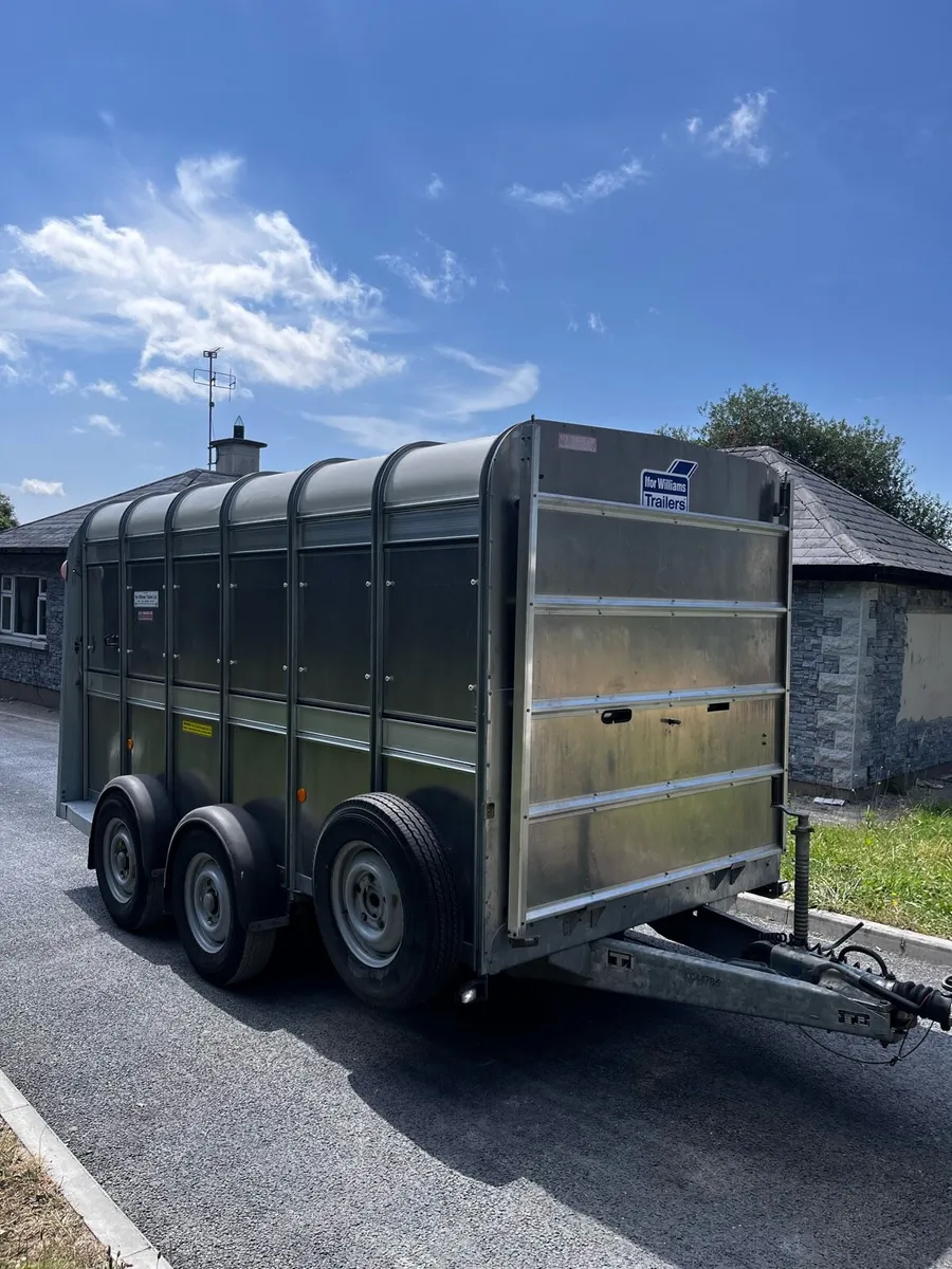 12x6 Ifor Williams cattle trailer - Image 2