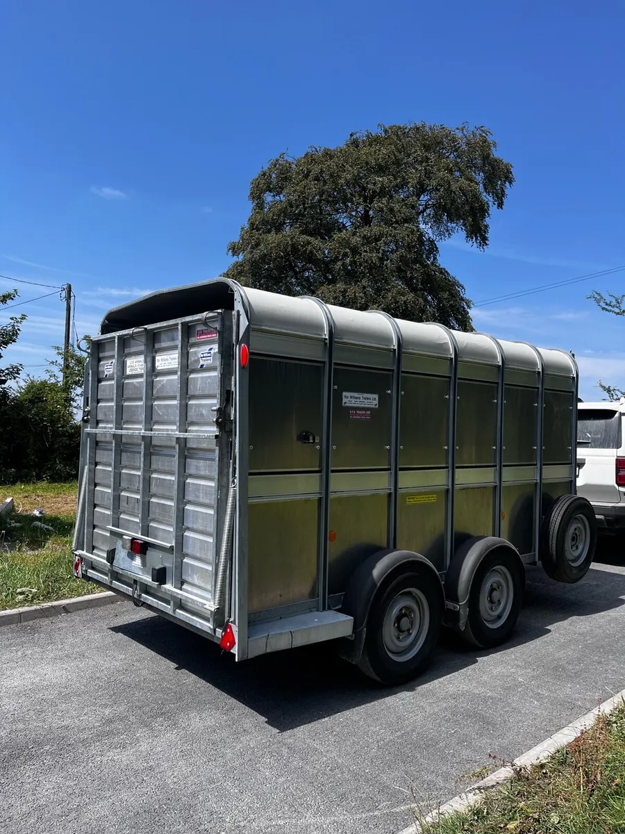 12x6 Ifor Williams cattle trailer - Image 3