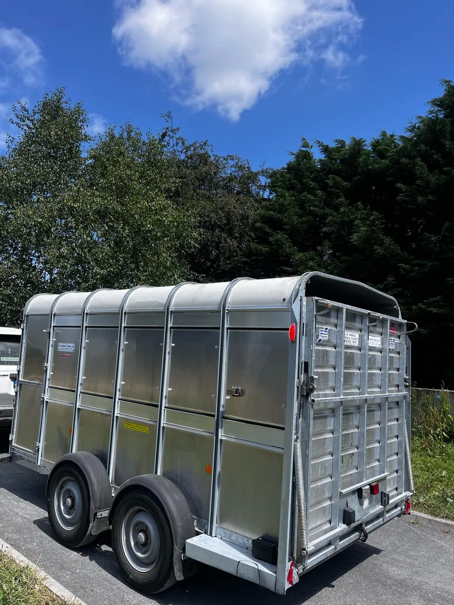 12x6 Ifor Williams cattle trailer - Image 4