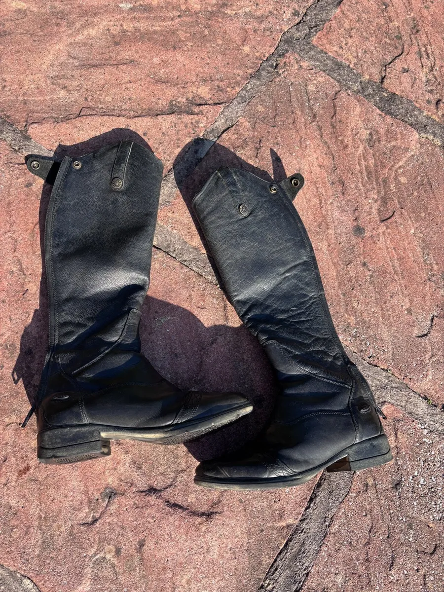Horse Riding Back protector and  Boots - Image 3