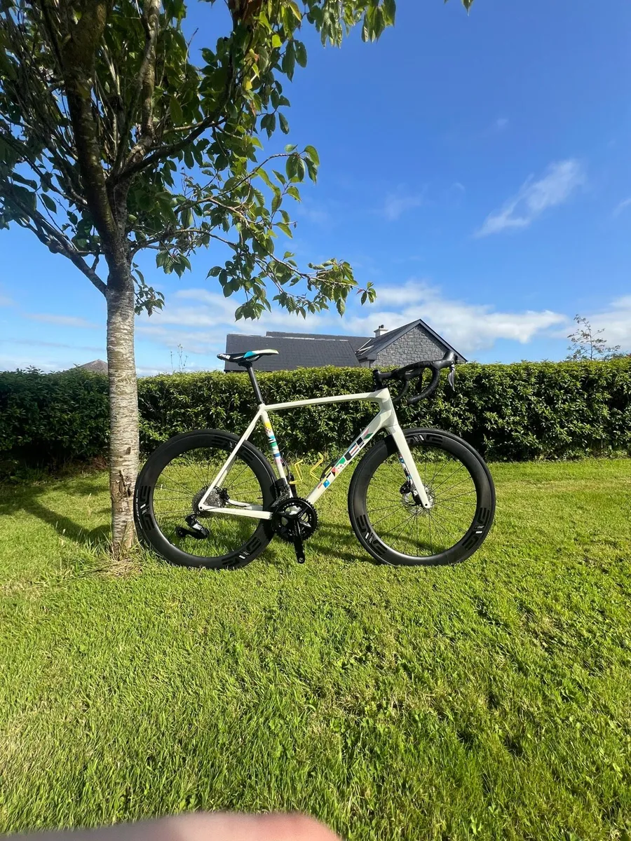 Trek emonda alr palamares edition - Image 2