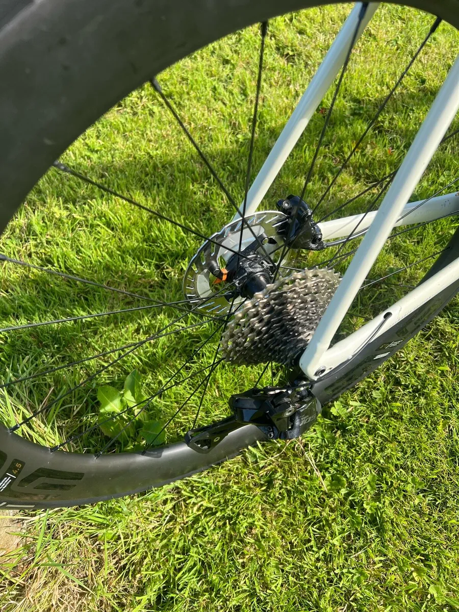 Trek emonda alr palamares edition - Image 3
