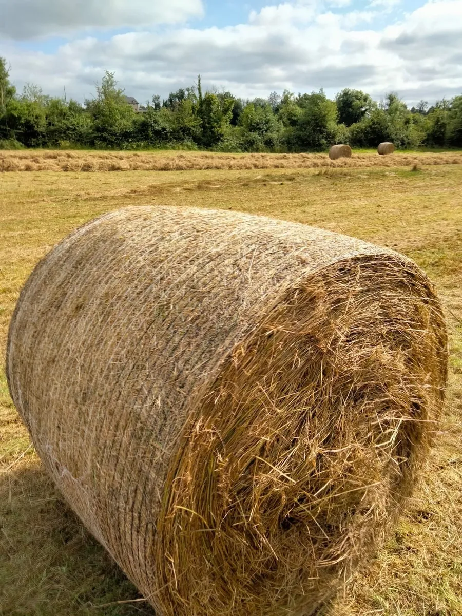 bales of rough hay carrick on shannon area