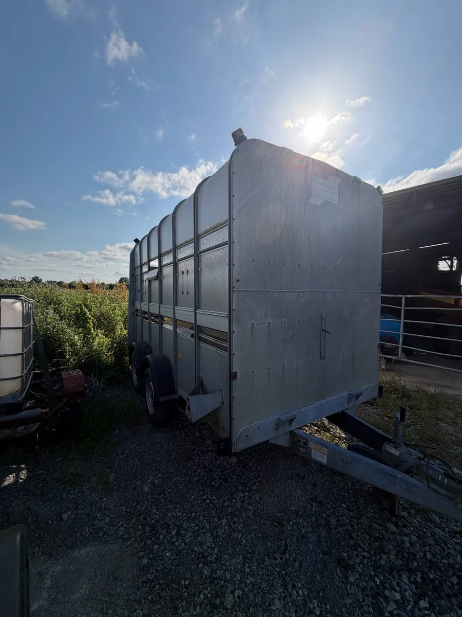 I for Williams extra high Cattle trailer - Image 1