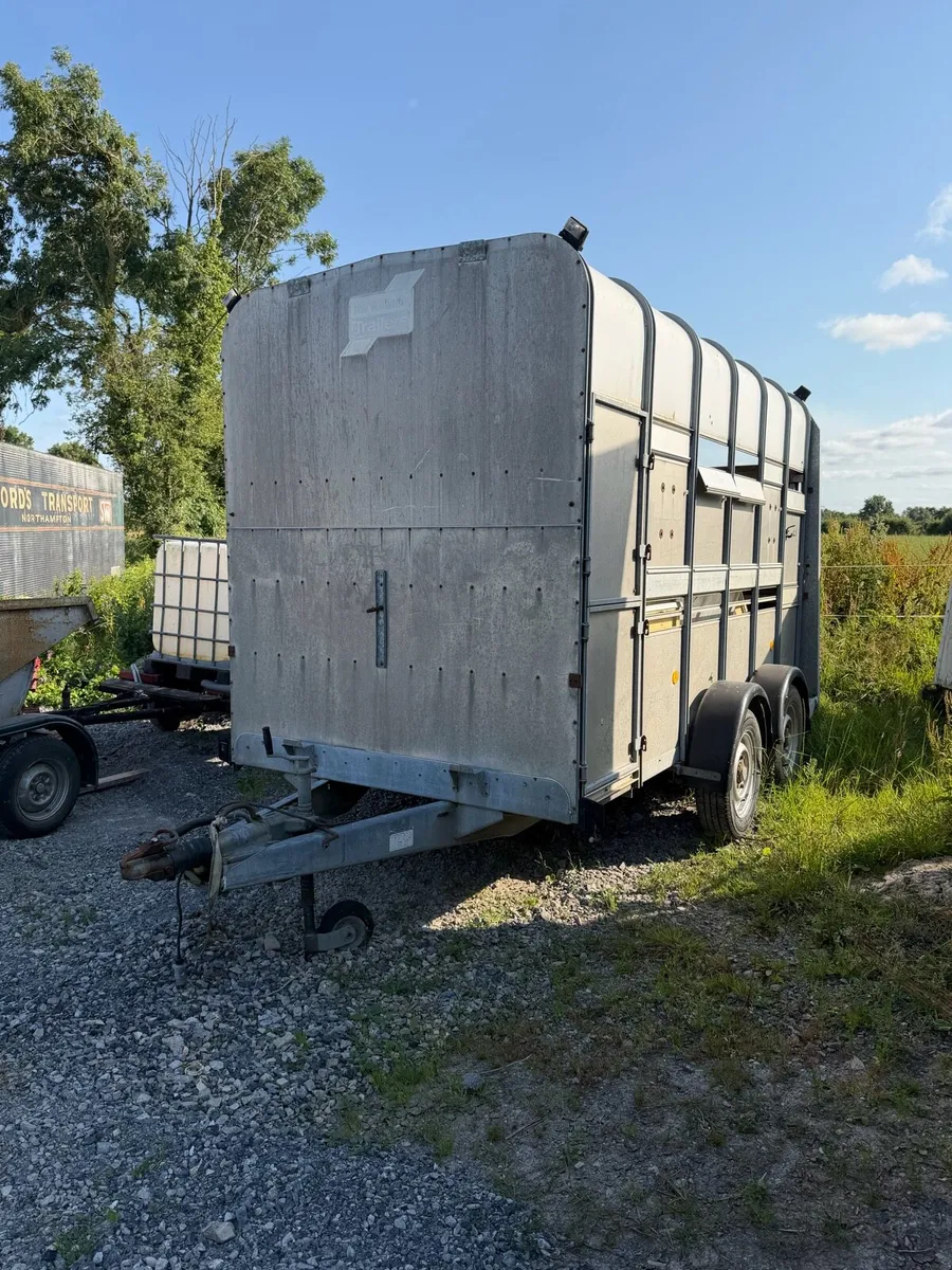 I for Williams extra high Cattle trailer - Image 2