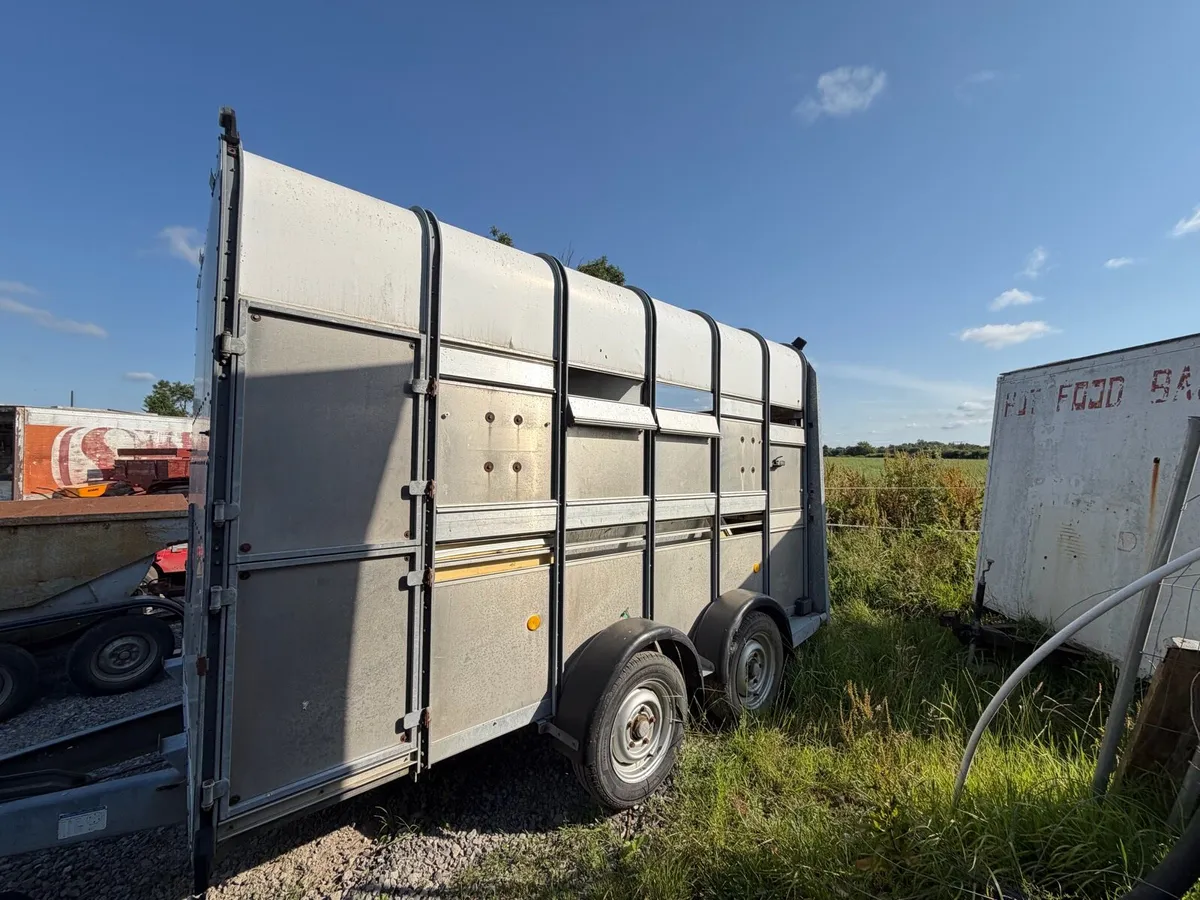 I for Williams extra high Cattle trailer - Image 3