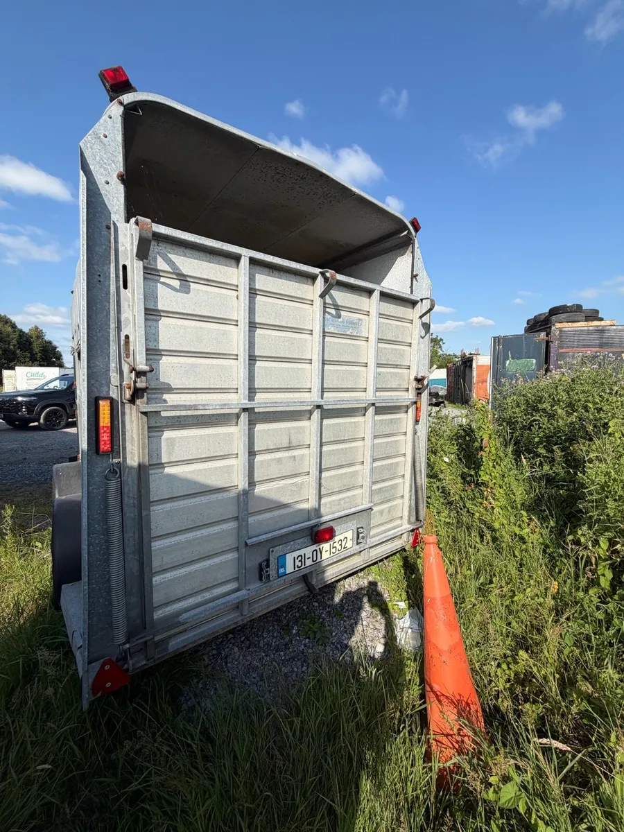 I for Williams extra high Cattle trailer - Image 4