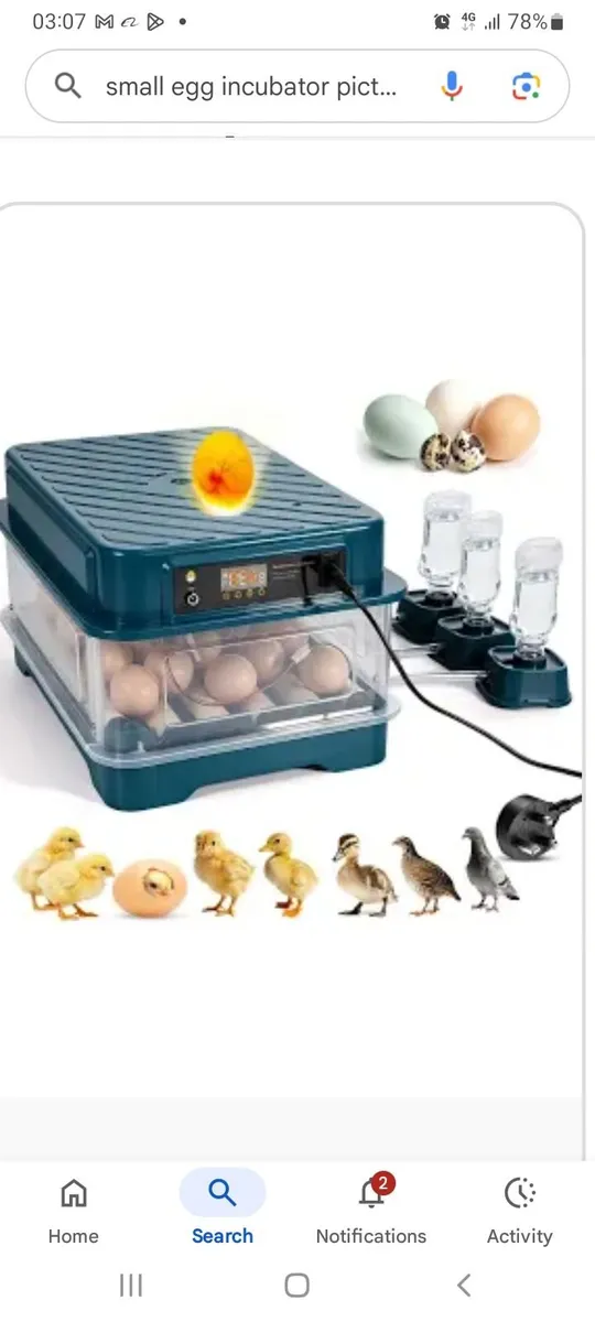 Incubator's