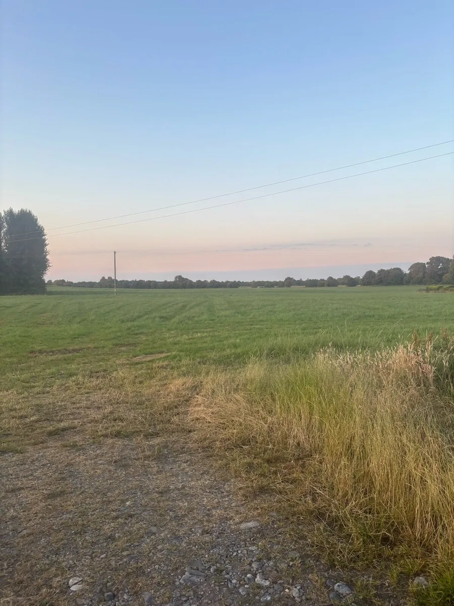 35 acres for letting trim area