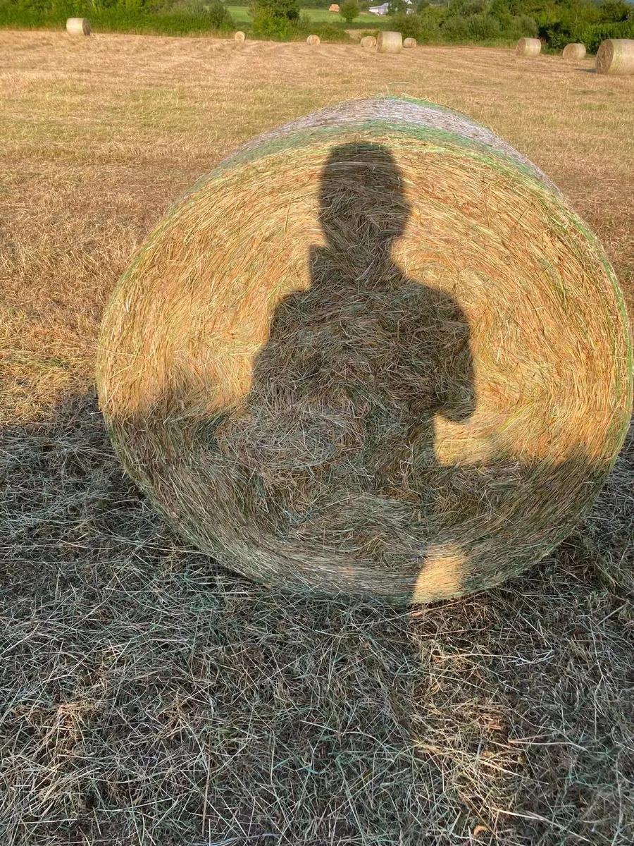 Hay - Image 2