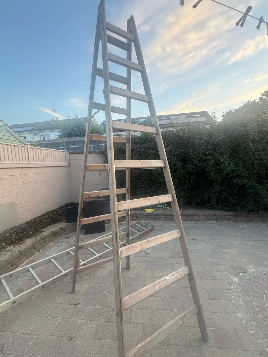 Ladder - Image 1