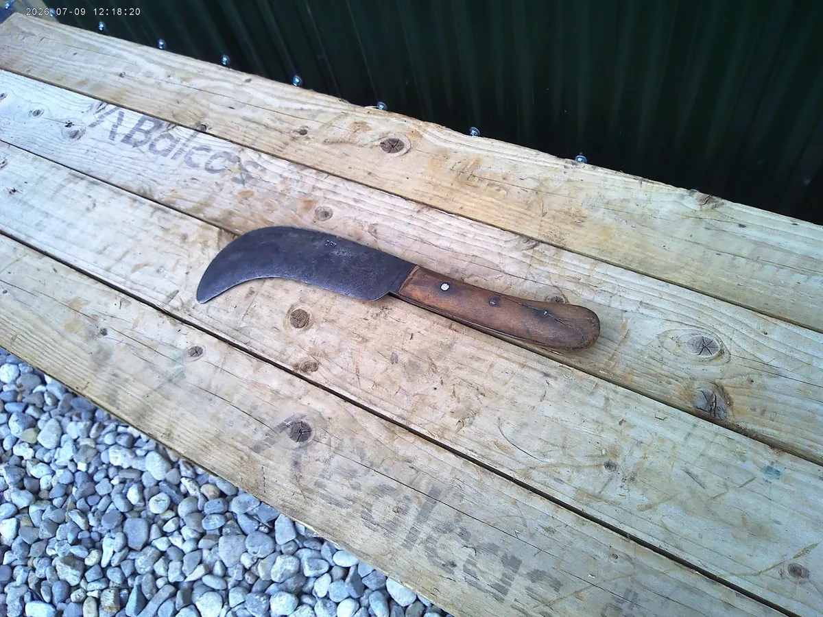 Billhook - Image 1