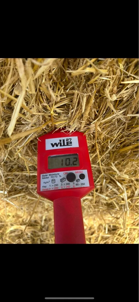 Cheapest Wexford straw - Image 2