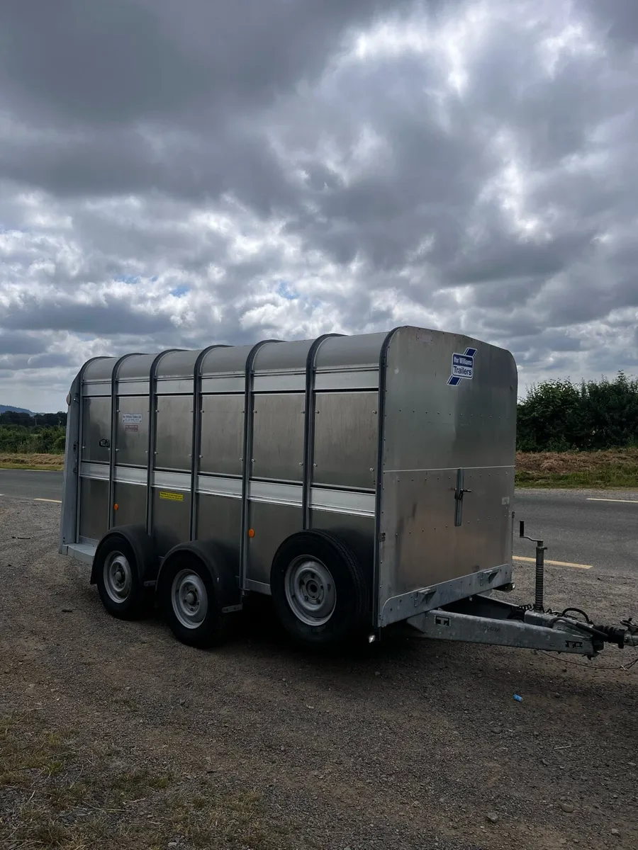 12x6 Ifor Williams cattle trailer - Image 1