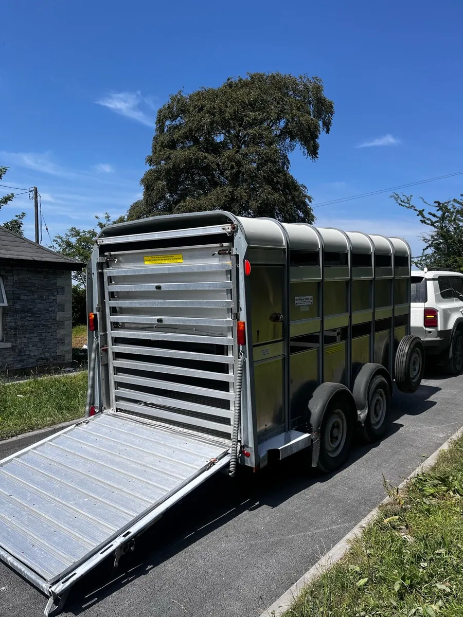 12x6 Ifor Williams sheep Dex - Image 3
