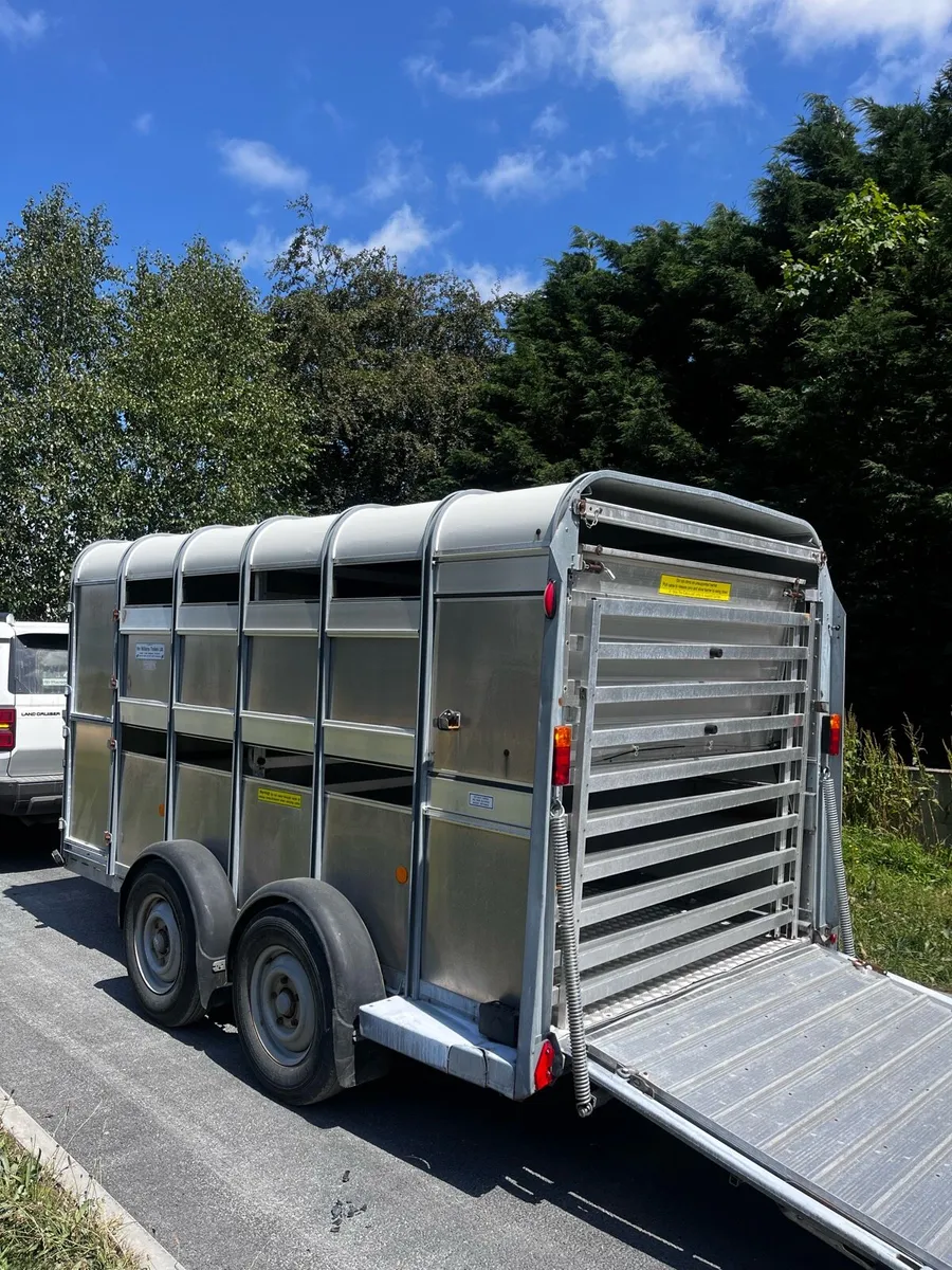 12x6 Ifor Williams sheep Dex - Image 4