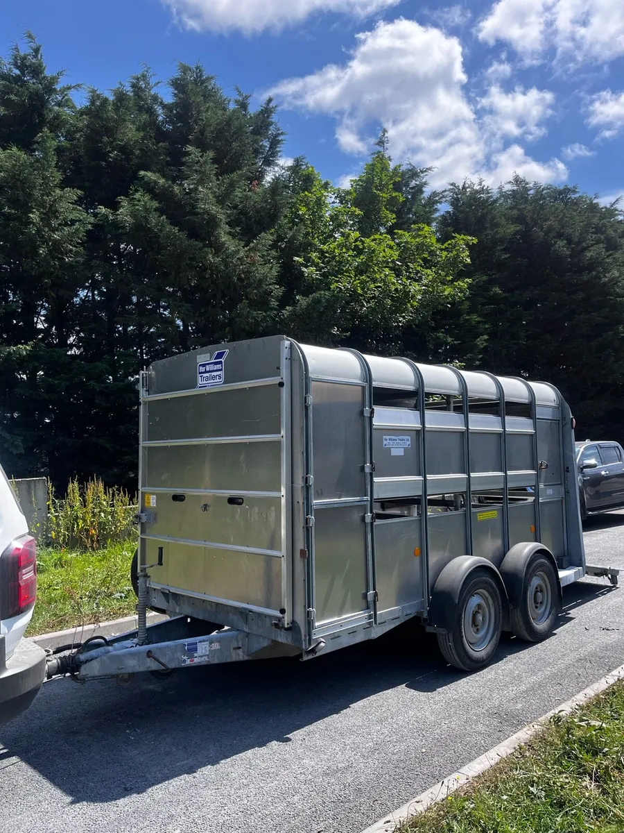 12x6 Ifor Williams sheep Dex - Image 1